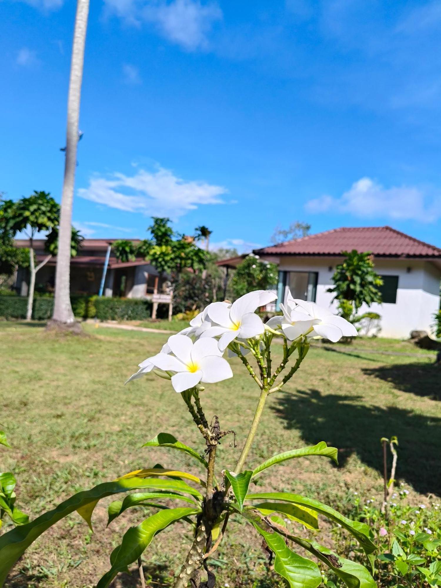 The Lodge At Koh Kood Ko Kut Exteriér fotografie